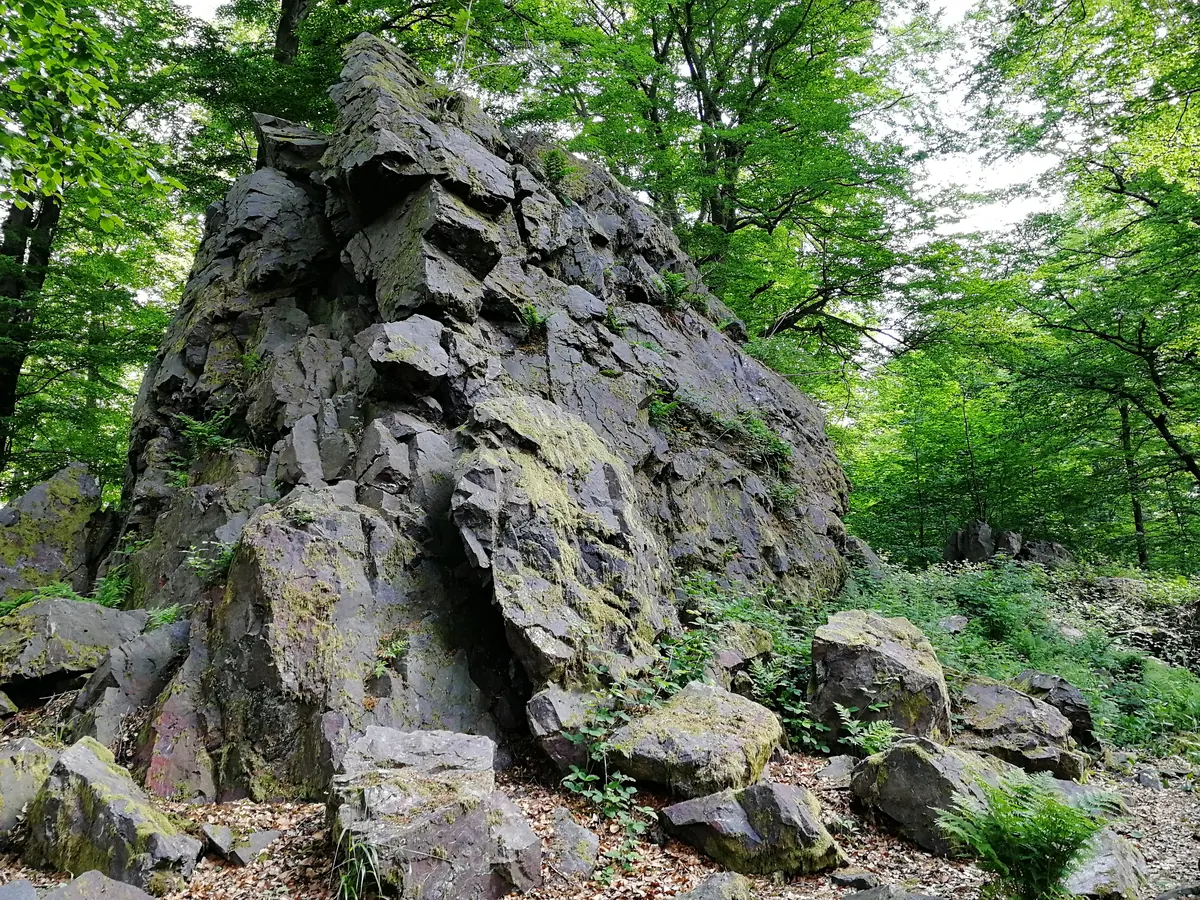 Die Wilhelmsteine bei Siegbach: eine markante Felsformation zwischen Bäumen